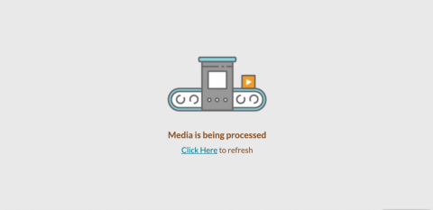Screenshot showing media is still being processed graphic.