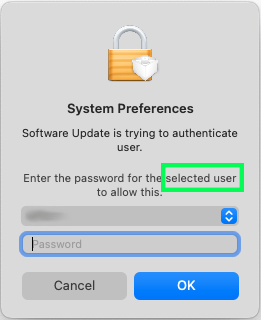 Screenshot of System Preferences prompting for the user to authenticate with their password.